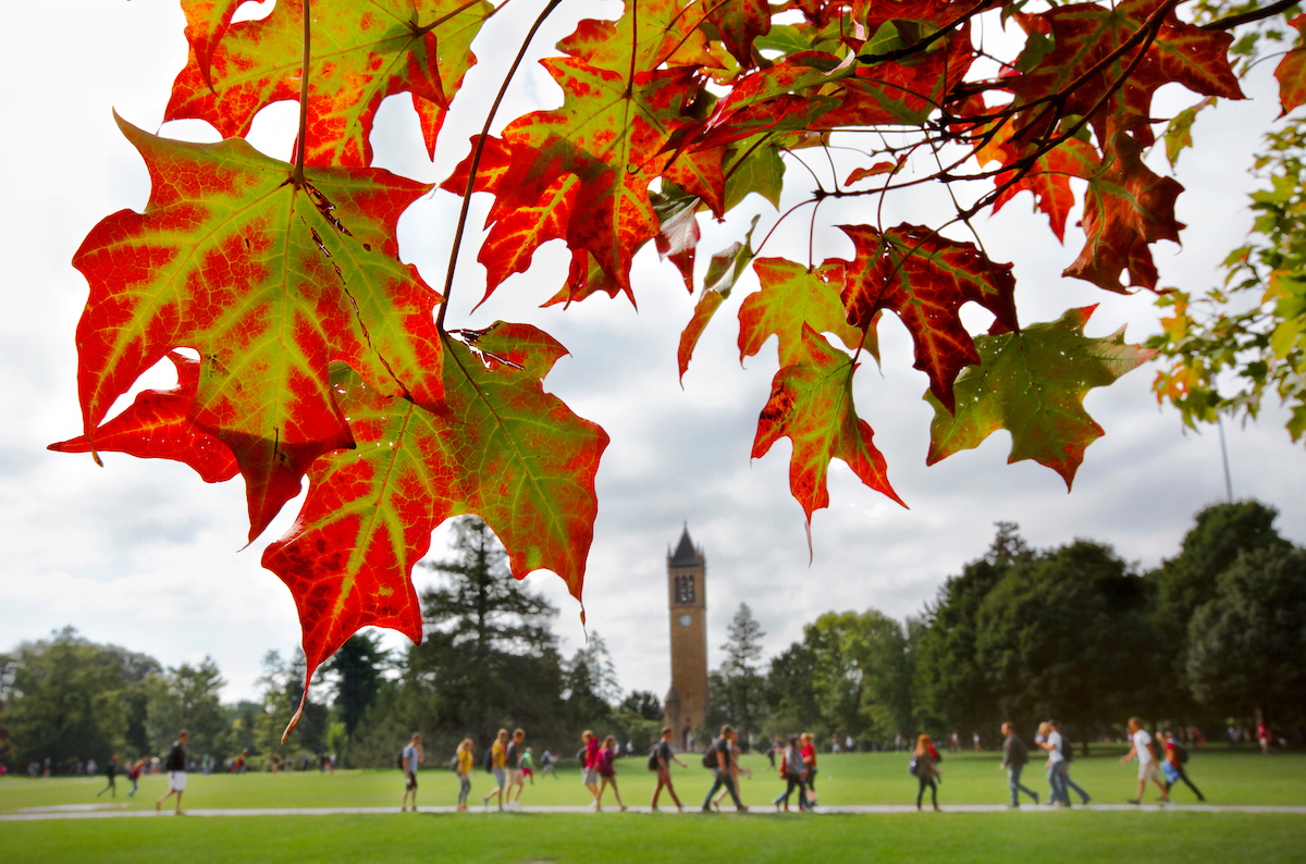 Students walking through the campus green in the fall